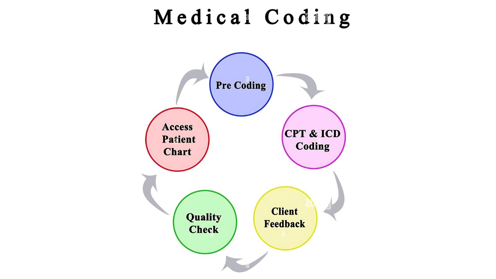 Coding & Auditing